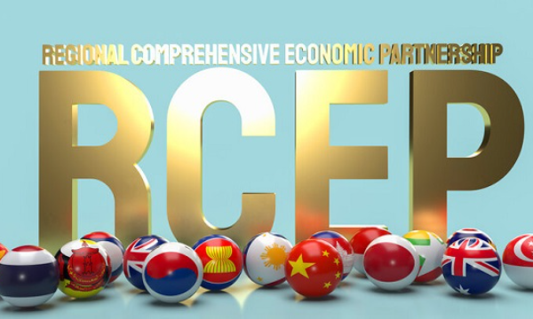RCEP朝早日生效再迈进一步-南海国际学分银行
