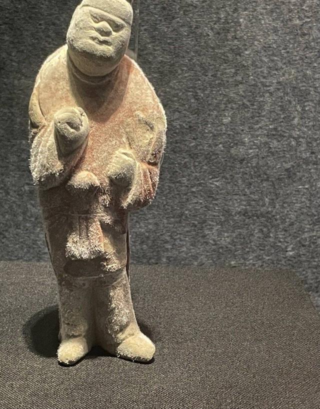 博物馆长毛