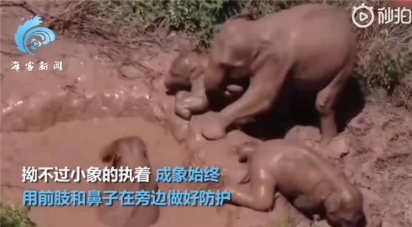 小象新闻