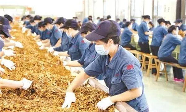 烟厂也来参与&ldquo;内卷&rdquo;？为了Money，一批985硕士在卷烟，河南中烟的回应让烟厂更&ldquo;卷&rdquo;了-南海国际学分银行