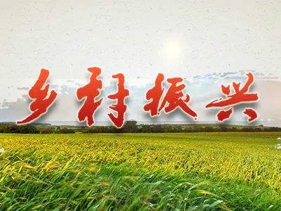 乡村振兴