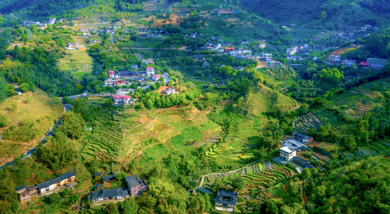 乡村振兴